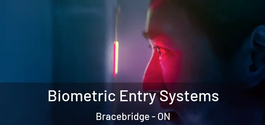  Biometric Entry Systems Bracebridge - ON